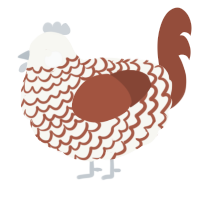 A white and russet chicken with a lace pattern