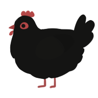 A black chicken