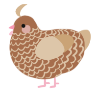 A brown and beige chicken with a lace pattern