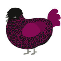 red onion, a black and wine chicken with a double-lace pattern