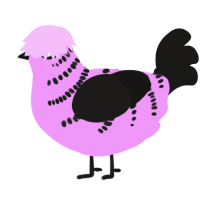A lavender and sable chicken with a half-bar pattern