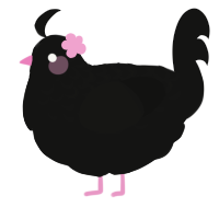 A black chicken with a half-lace pattern