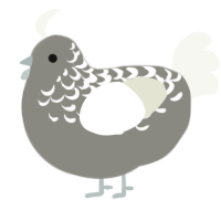 A ash and white chicken with a half-lace pattern