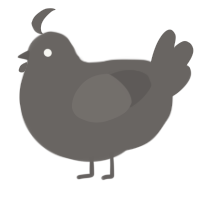 A grey chicken
