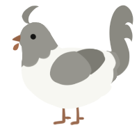 A white and ash chicken with a head pattern
