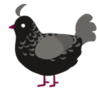 A sable and grey chicken with a half-lace pattern