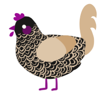 A sable and beige chicken with a double-lace pattern