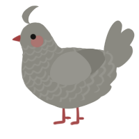 Dusty, a ash chicken with a lace pattern