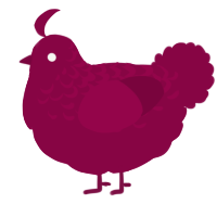 A maroon chicken with a half-lace pattern