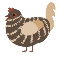 A bark and beige chicken with a bar pattern