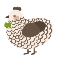 A cream and bark chicken with a lace pattern