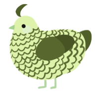 A apple and olive chicken with a lace pattern