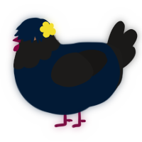 A tumblr and sable chicken with a head pattern