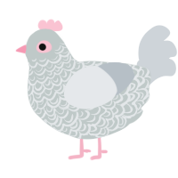 A silver and mist chicken with a double-lace pattern
