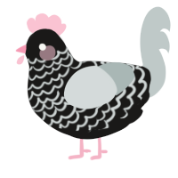 A sable and silver chicken with a lace pattern