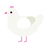 A white chicken