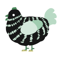 A black and spring chicken with a bar pattern