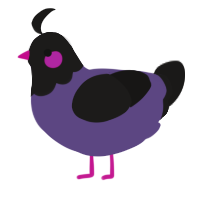 Kowaishi, a overcast and sable chicken with a head pattern