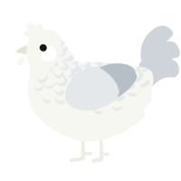 A white and mist chicken with a half-lace pattern
