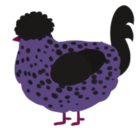 A overcast and sable chicken with a speckle pattern