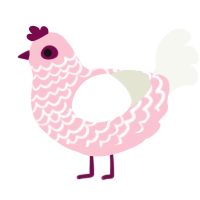 Sara, a rose and white chicken with a lace pattern