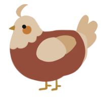 Toast, a russet and beige chicken with a head pattern