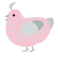 A rose and silver chicken with a speckle pattern