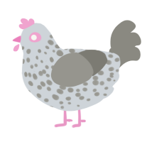 A mist and ash chicken with a speckle pattern