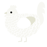 A white chicken with a lace pattern
