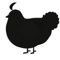 A black chicken with a speckle pattern
