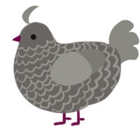 A grey and ash chicken with a lace pattern