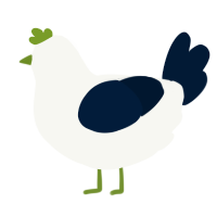 A white and tumblr chicken