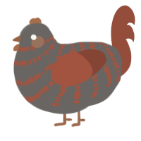 A grey and russet chicken with a bar pattern