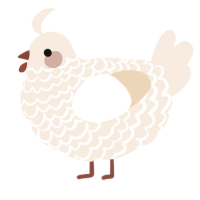 A cream chicken with a lace pattern