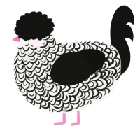 A white and black chicken with a double-lace pattern