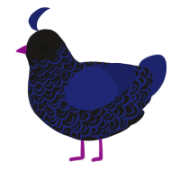 A sable and navy chicken with a double-lace pattern