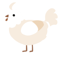 A cream chicken with a head pattern