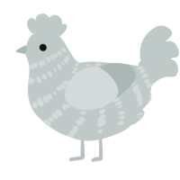Pastel, a silver chicken with a bar pattern