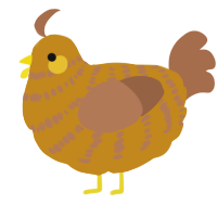 A ochre and brown chicken with a bar pattern
