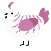 A mist and fuchsia chicken with a half-bar pattern