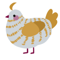 500 eggs, a mist and gold chicken with a bar pattern