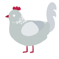 A silver and mist chicken with a neck-speckle pattern