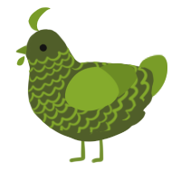 A olive and chartreuse chicken with a lace pattern