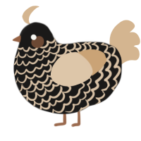 Black Coffee, a sable and beige chicken with a lace pattern