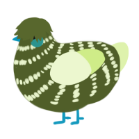 A olive and apple chicken with a bar pattern