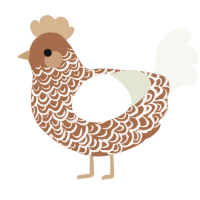 A brown and white chicken with a double-lace pattern