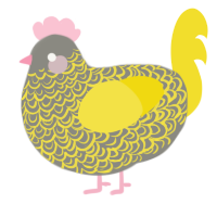 (unnamed), a ash and yellow chicken with a double-lace pattern