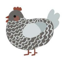 A grey and silver chicken with a lace pattern