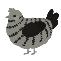 A ash and sable chicken with a bar pattern