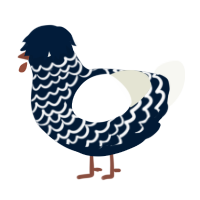 (unnamed), a tumblr and white chicken with a lace pattern